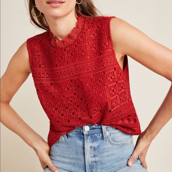 Tops - Anthropologie Lourdes Lace Top by Daniel Rainn